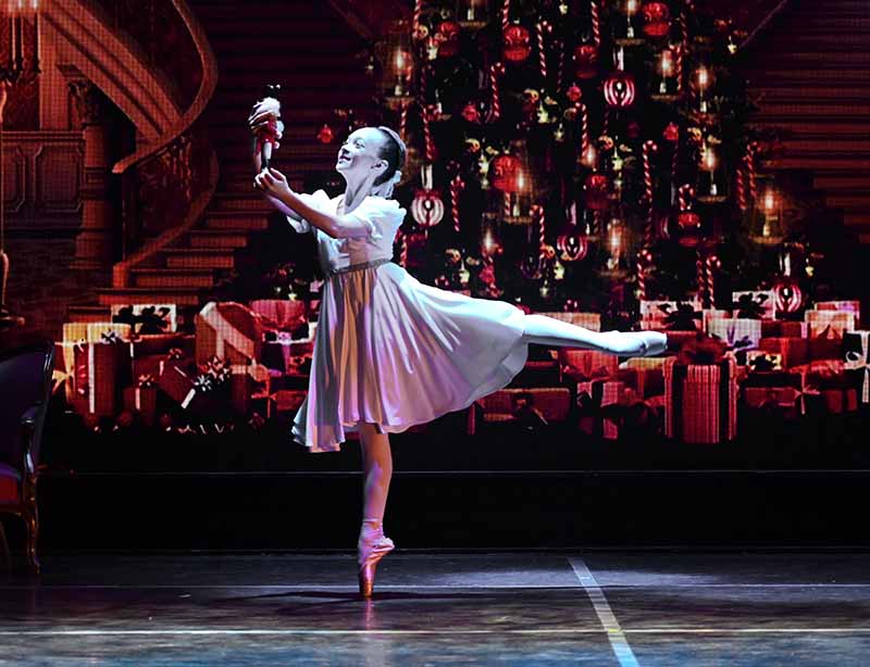 Nutcracker – Info Image